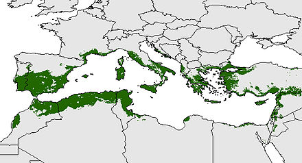 Mapa leyenda con la distribución potencial del olivo en la cuenca del Mediterráneo (Oteros, 2014)
