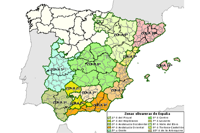 MAPA 1972 de las zonas productoras de olivo en España